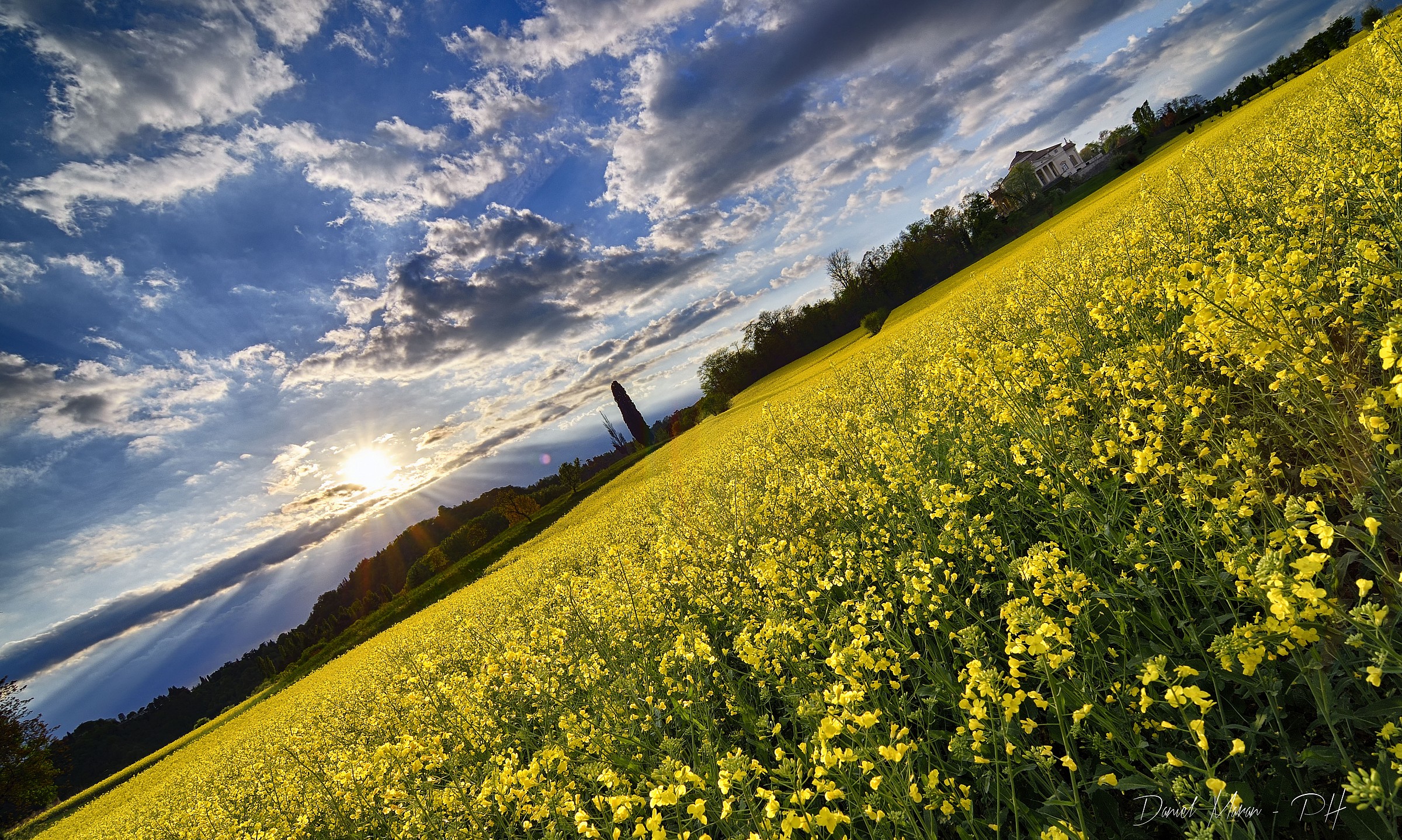 Rotonda palladiana in una prospettiva particolare!