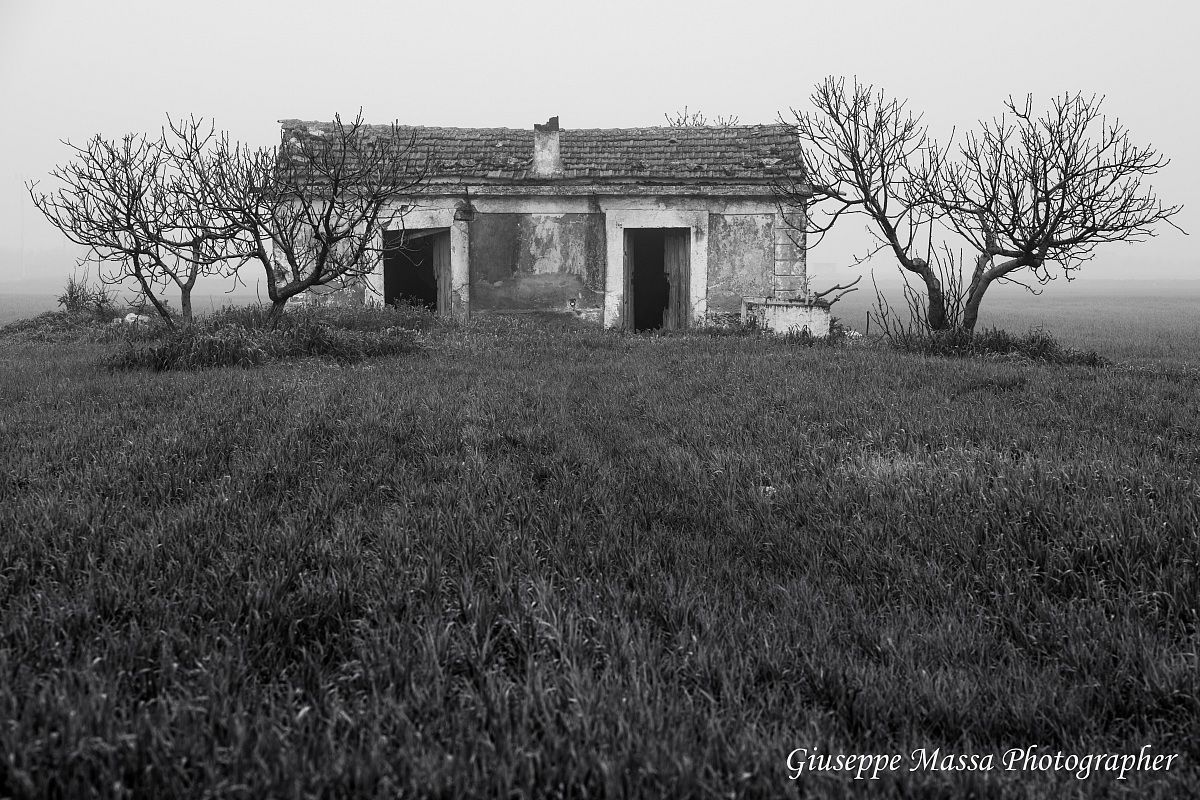 Cottage in the mist - 3