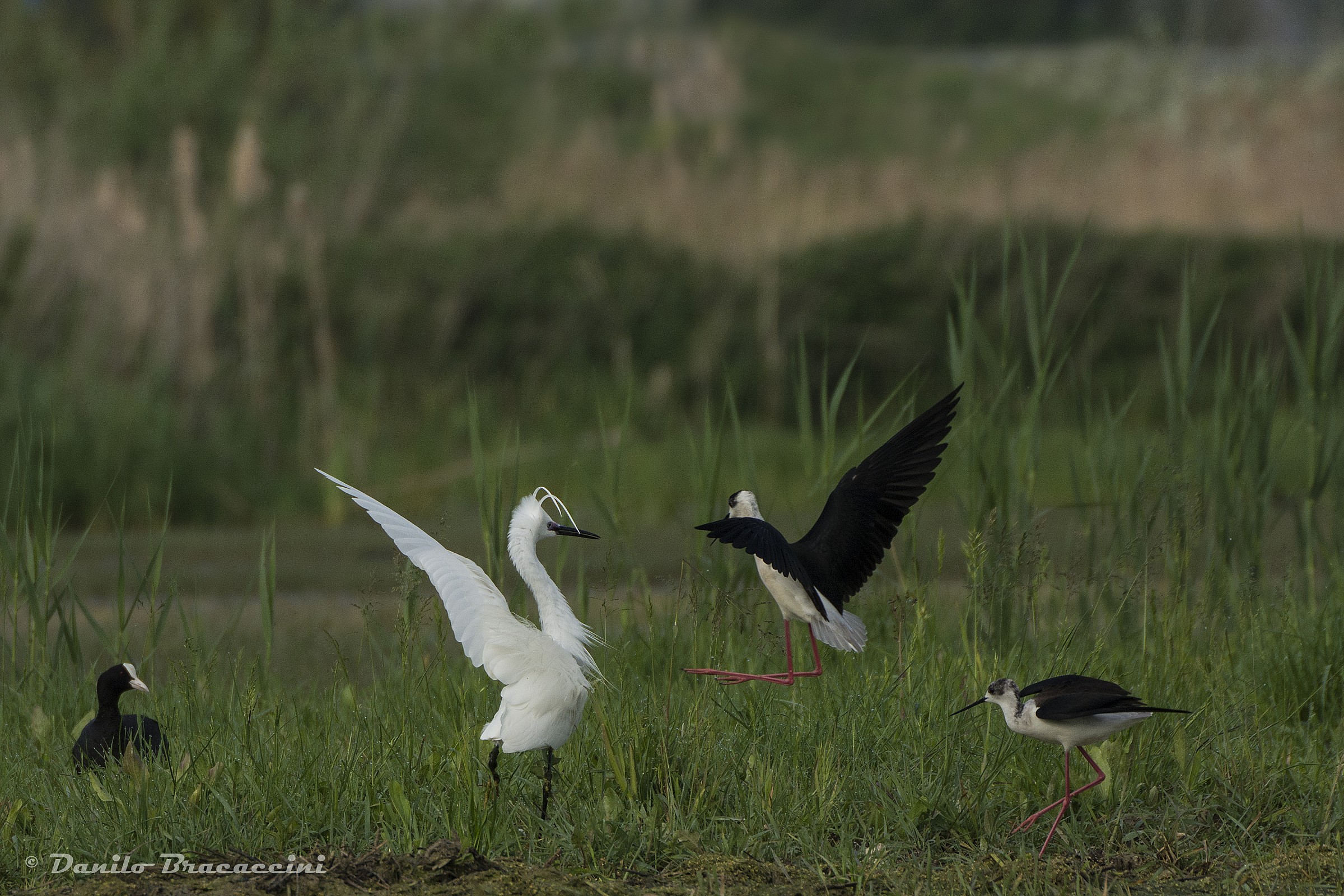 Part 1 Difesa del territorio...