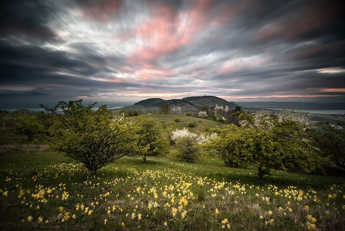 Spring on Pálava hills