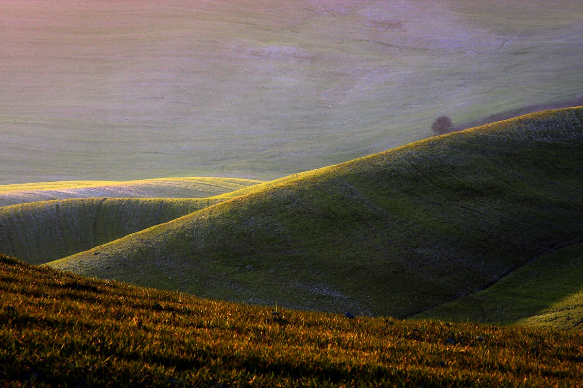 Un giorno vicino Volterra...