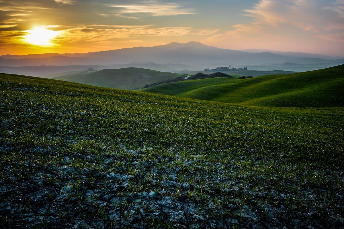 Dolci colline pisane