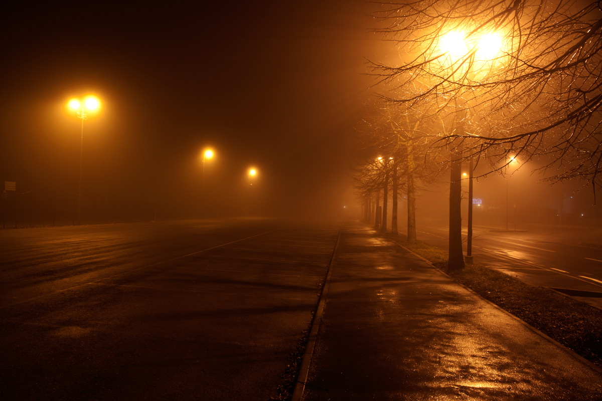 Nebbia e lampioni , Trecasali (pr)