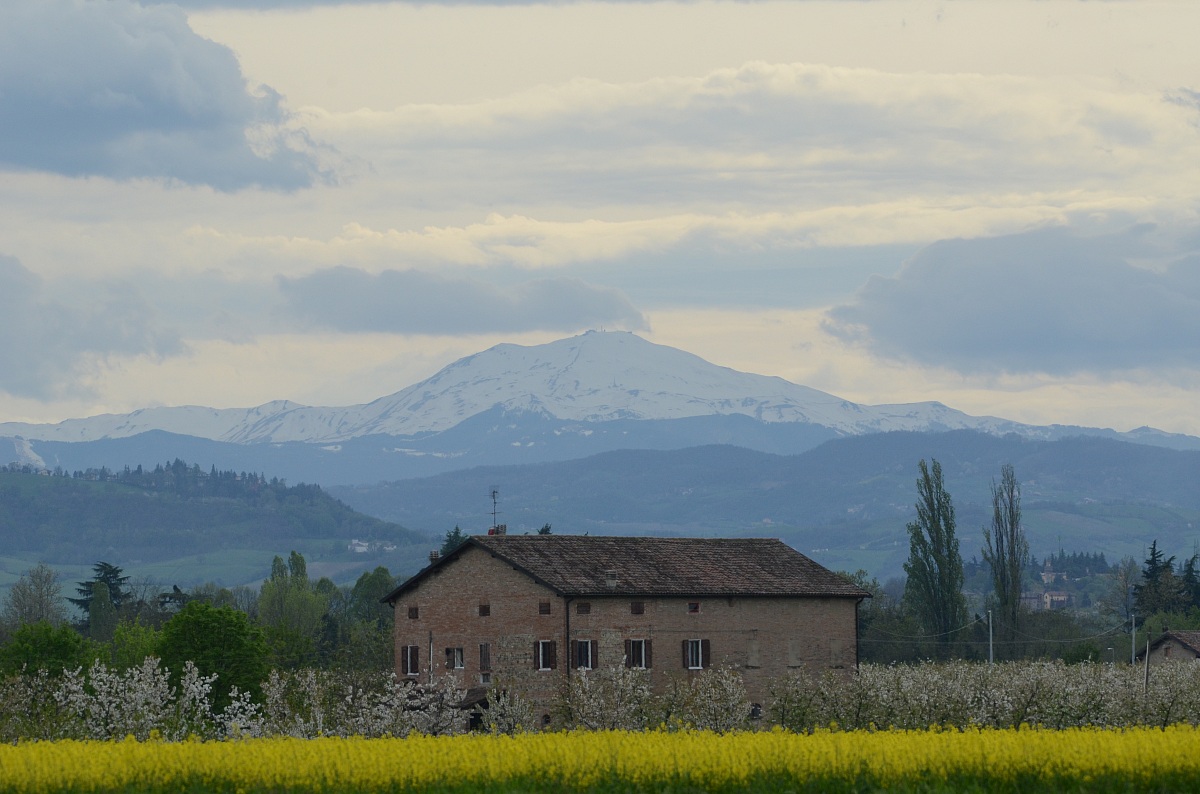 il monte cimone sullo sfondo
