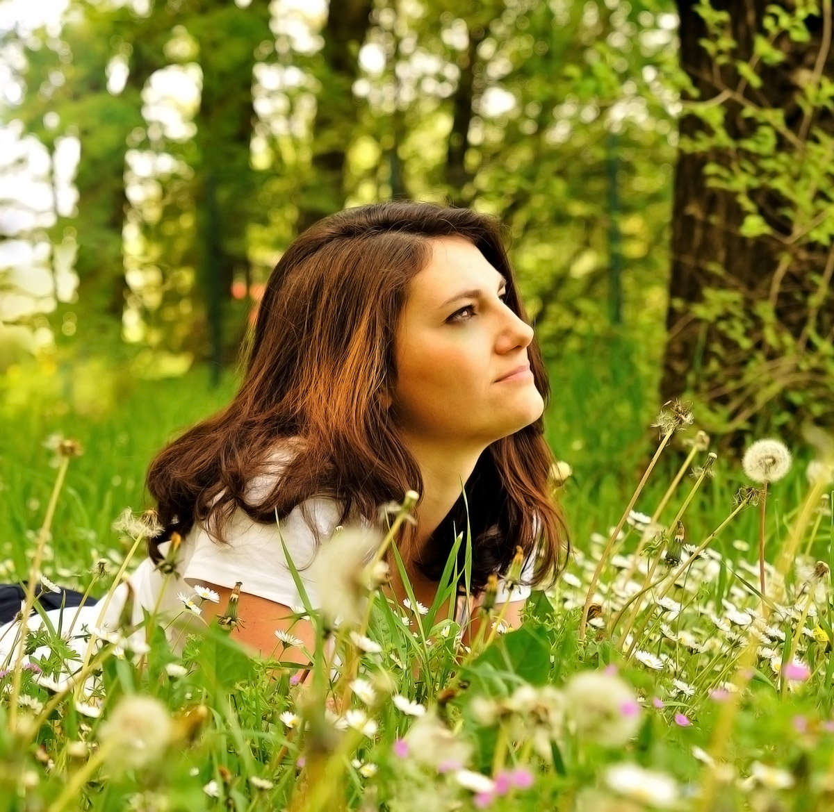 The warmth of the sun ...