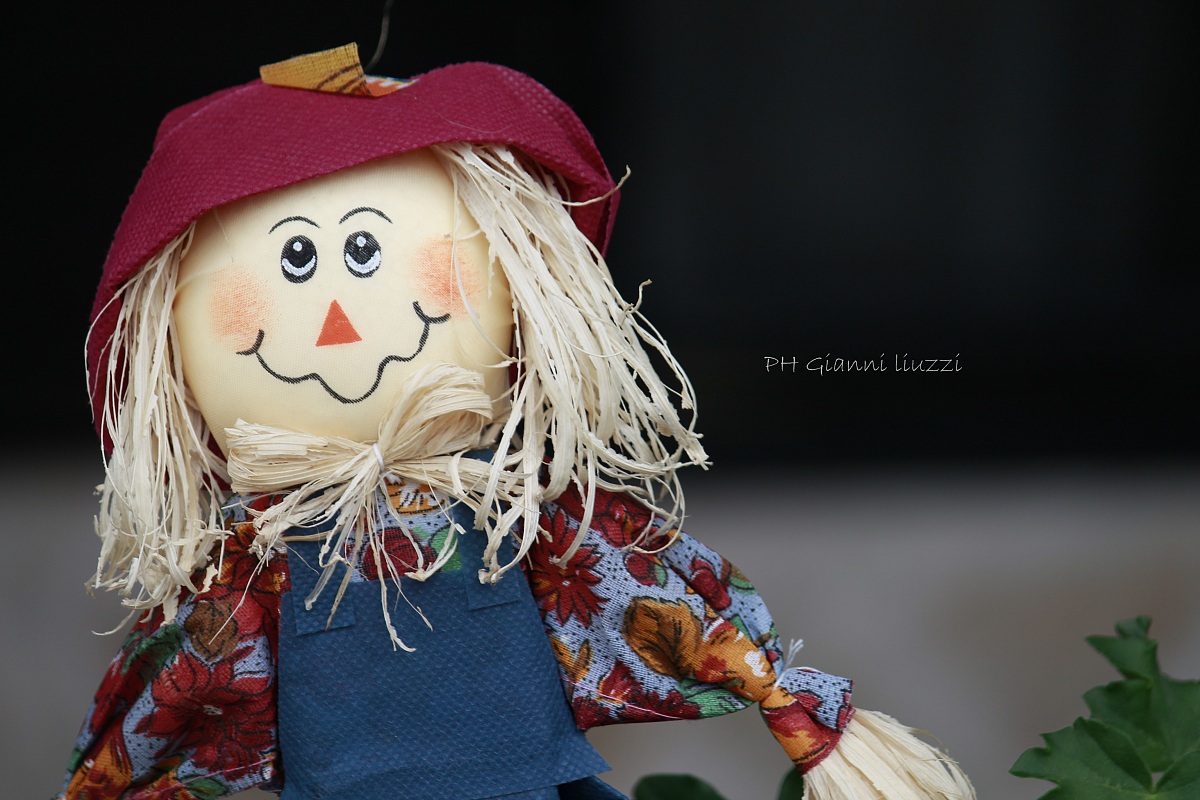 spaventa passeri Alquanto divertente!!!