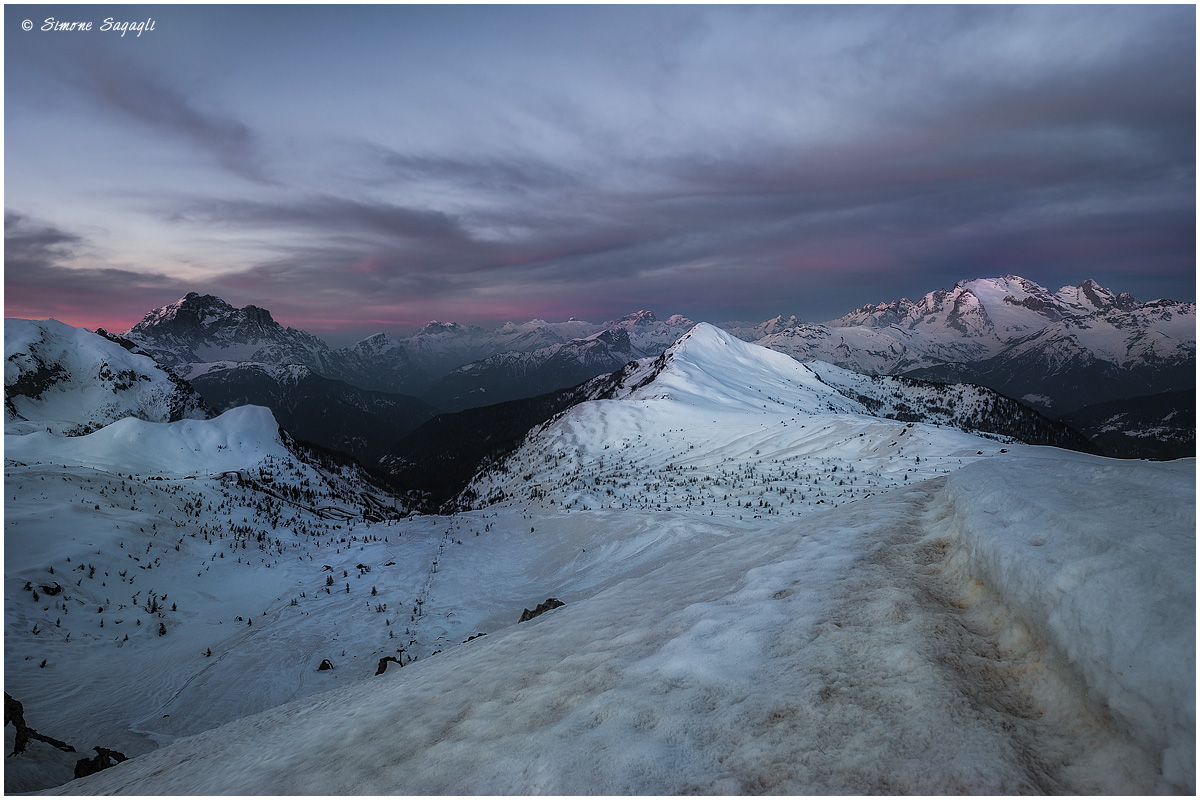 Un pò di rosa anche per me
