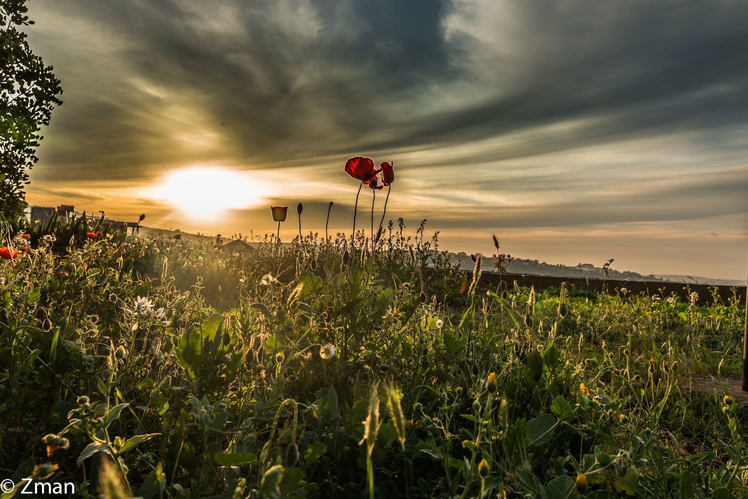 Il tramonto più bello questo inverno