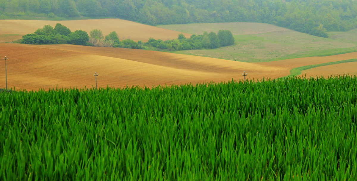 Cuccaro Monferrato and surroundings