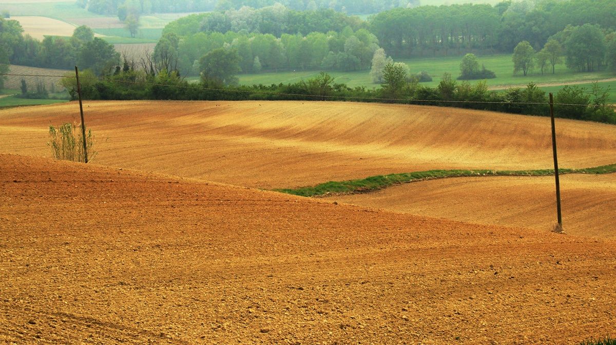 The campaign in the Monferrato