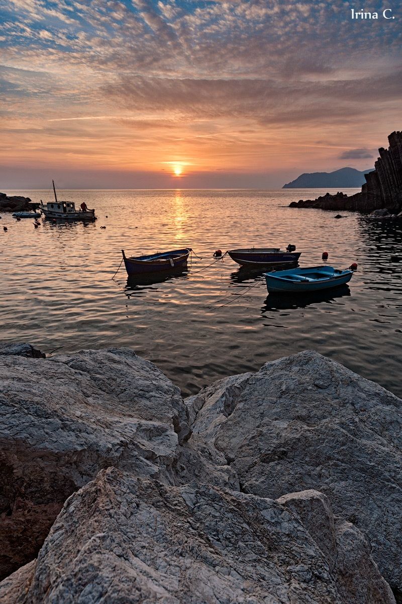 the shadow of the last sun ..