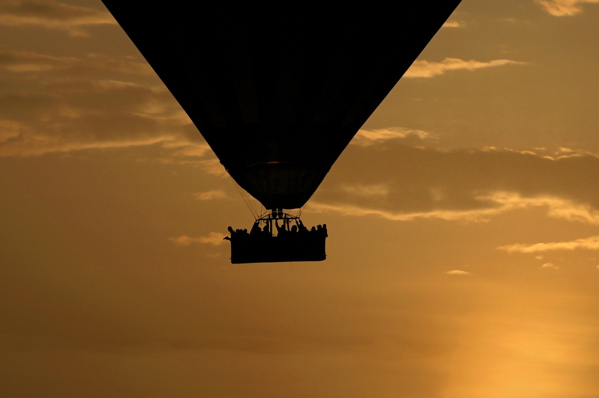 In volo sulla savana