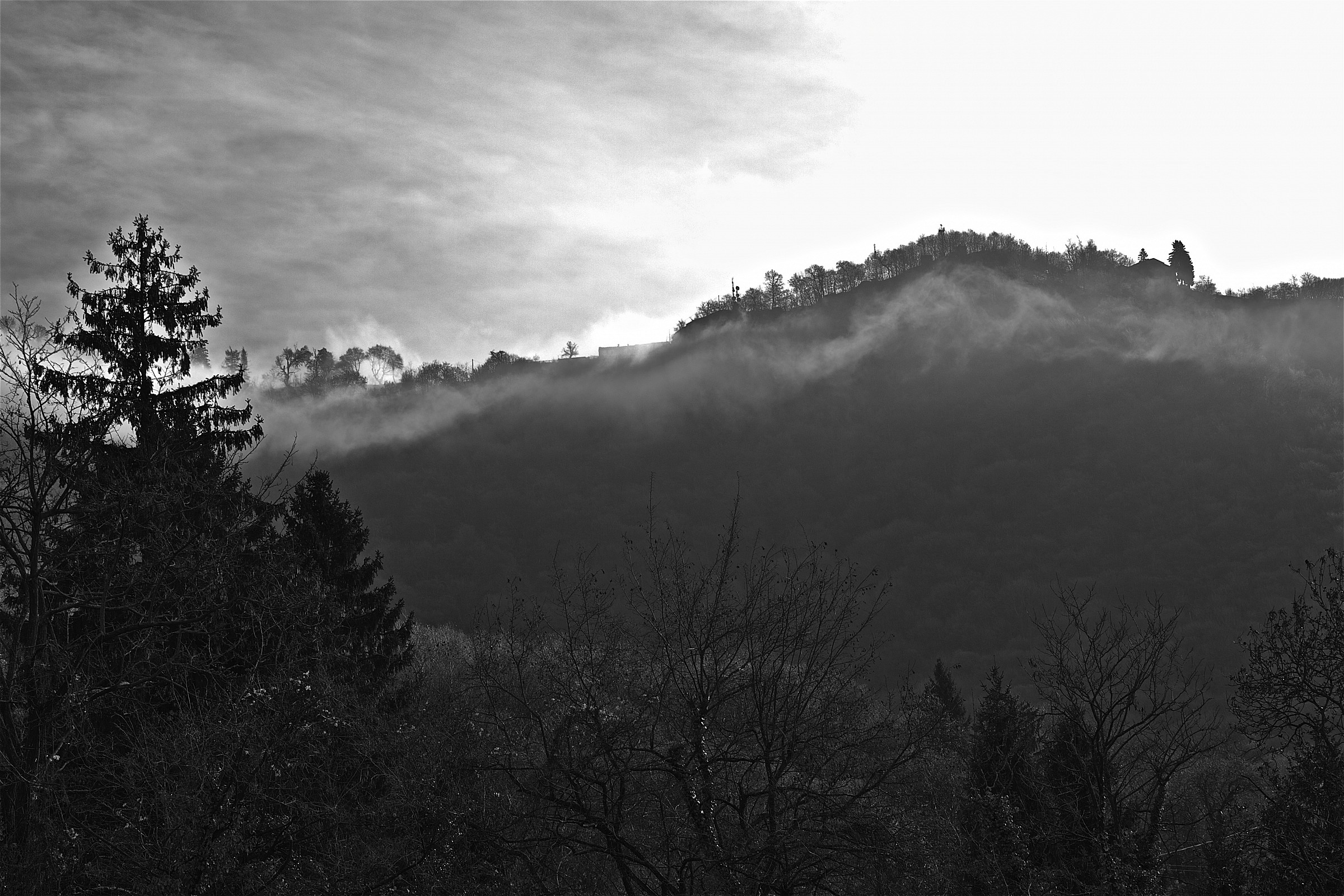 La nebbia all'irto colle....