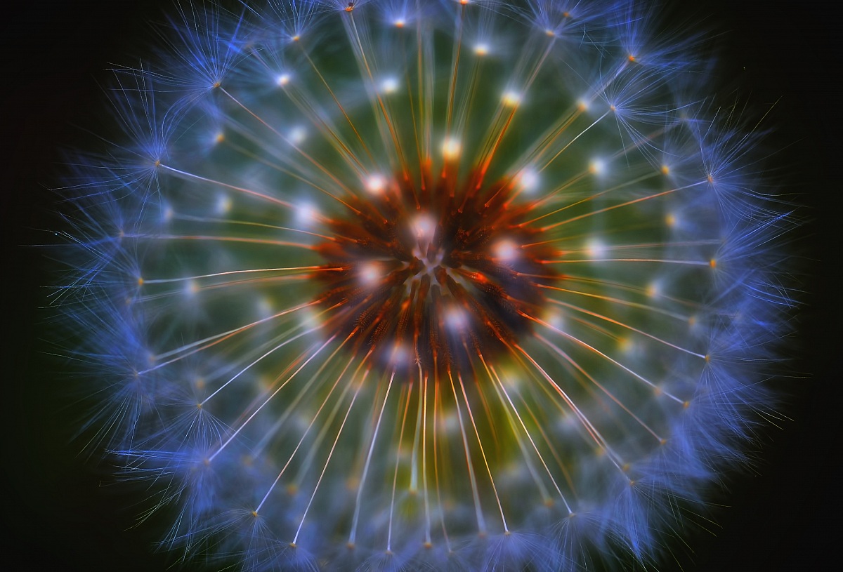 The birth of the universe