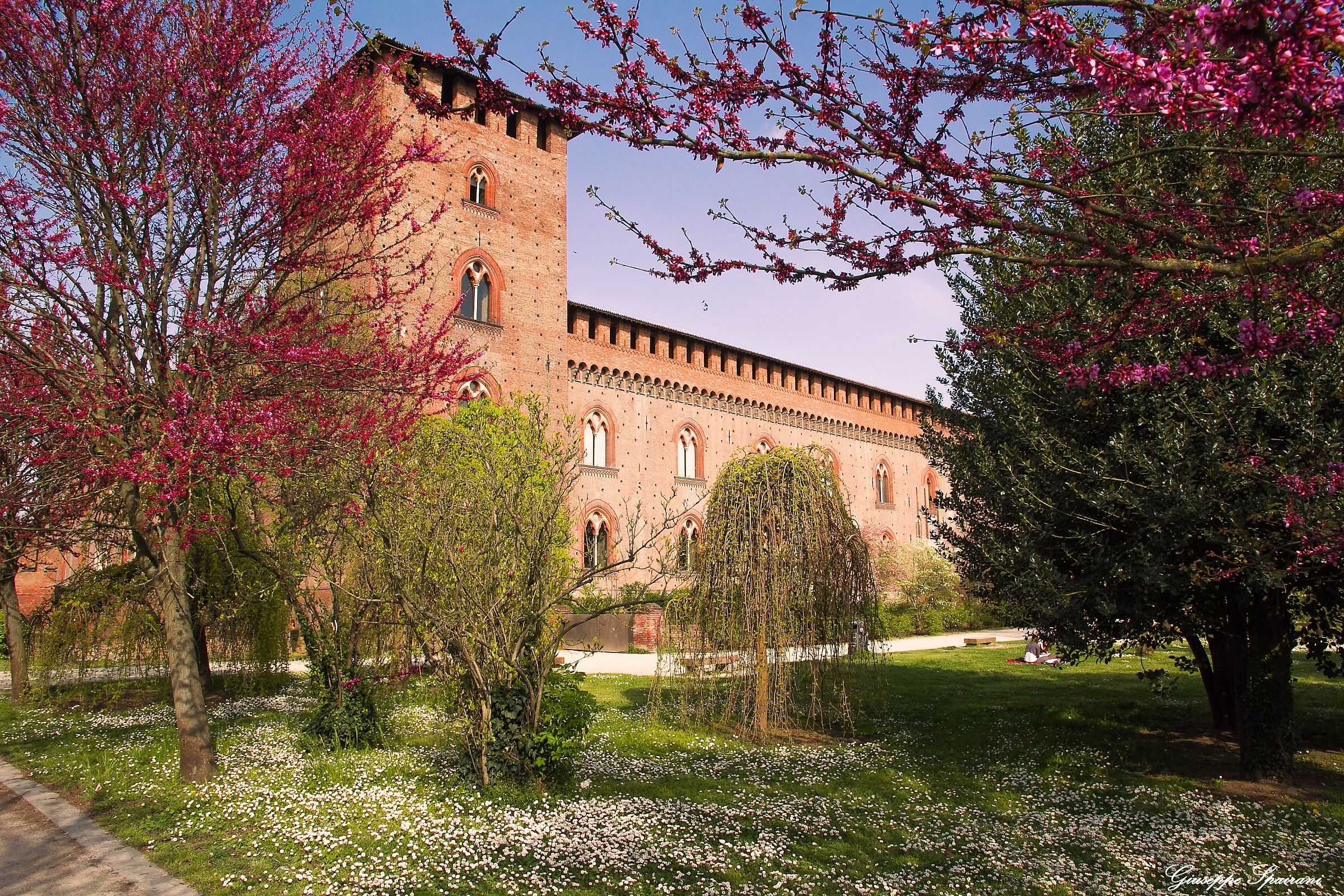 mettete dei fiori........