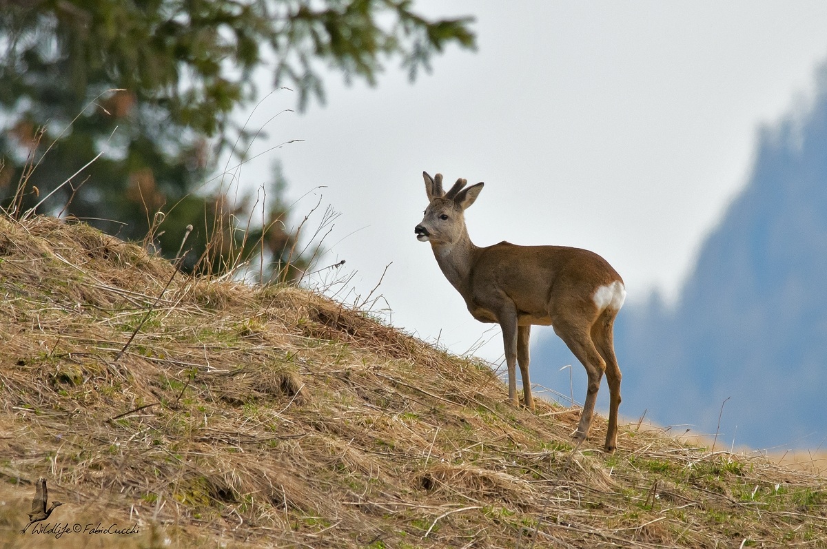 Winter is Finished ...