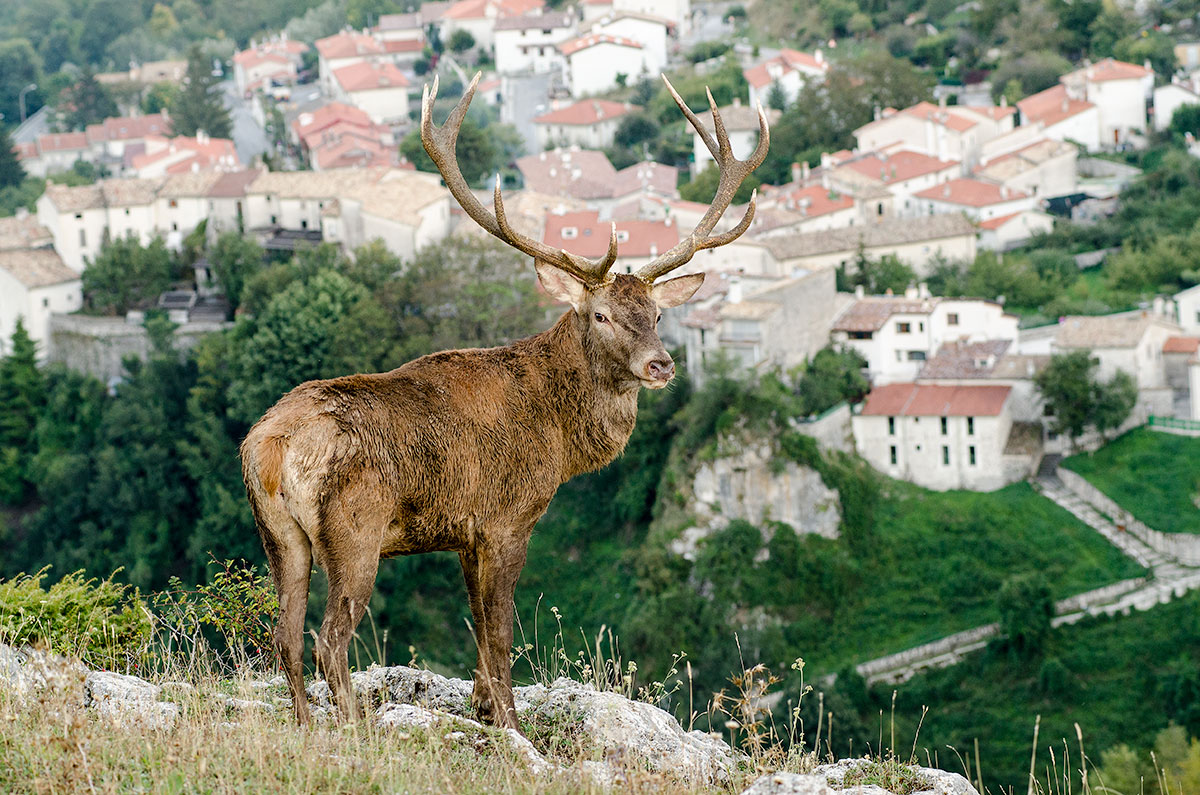vista su civtella alfedena