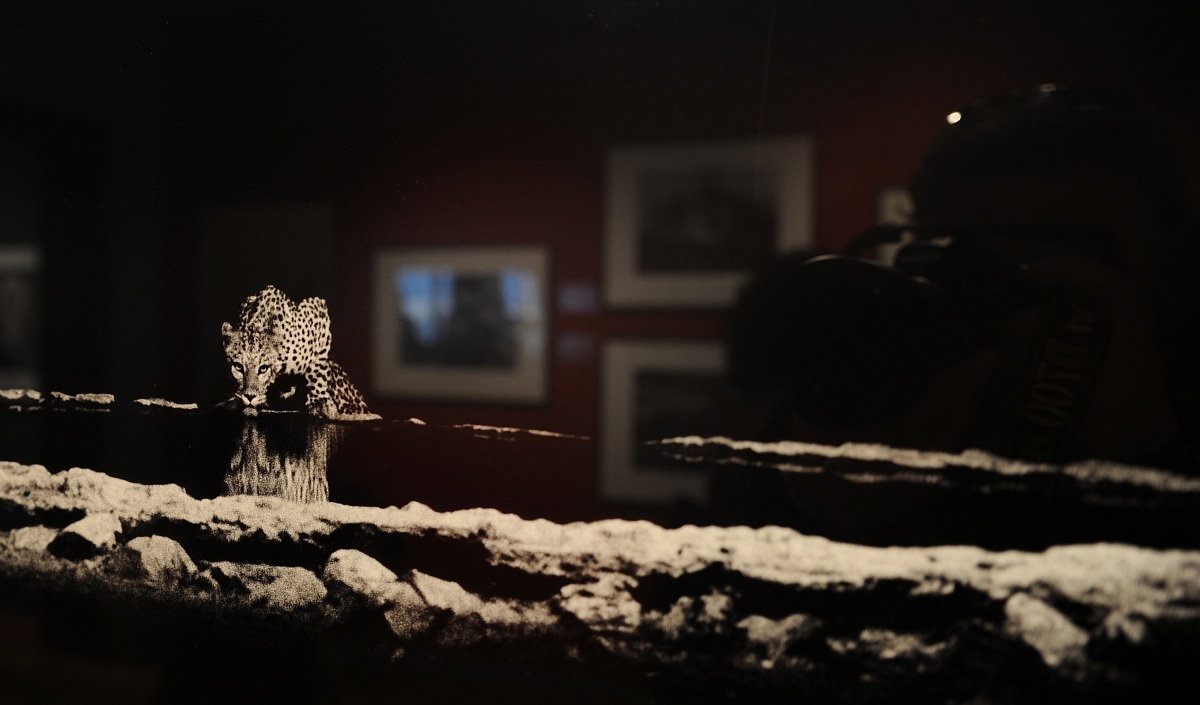 Visit the exhibition of S. Salgado