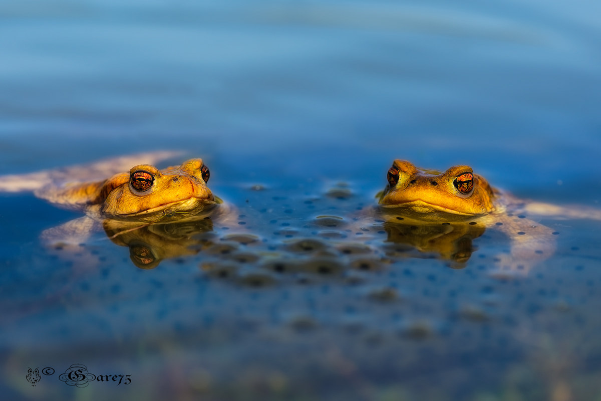 Waiting for a new life