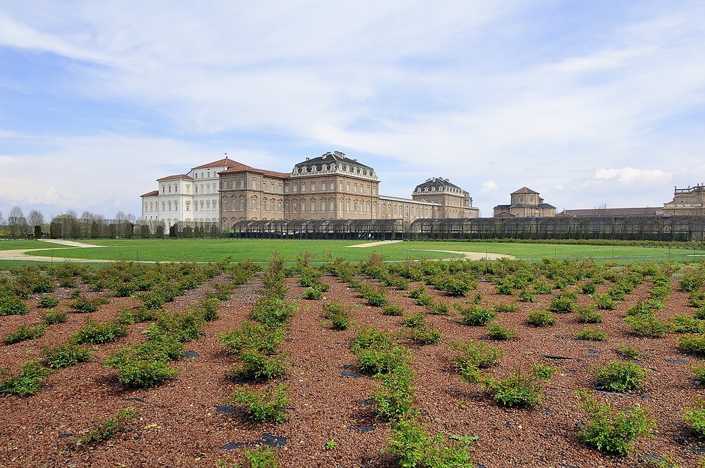 Venaria Reale