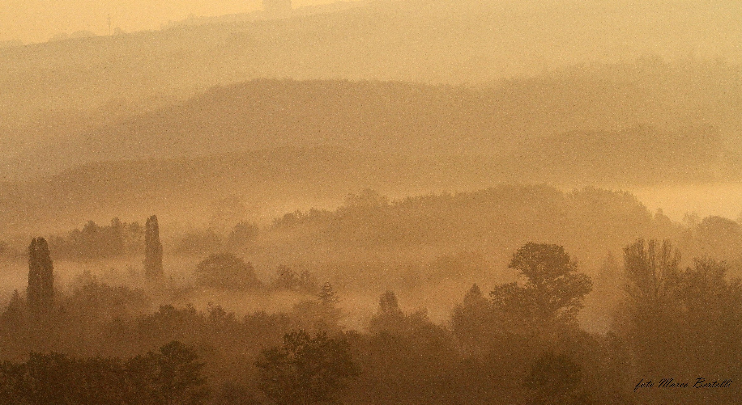 nebbie mattutine tra i fiumi Stura e Tanaro