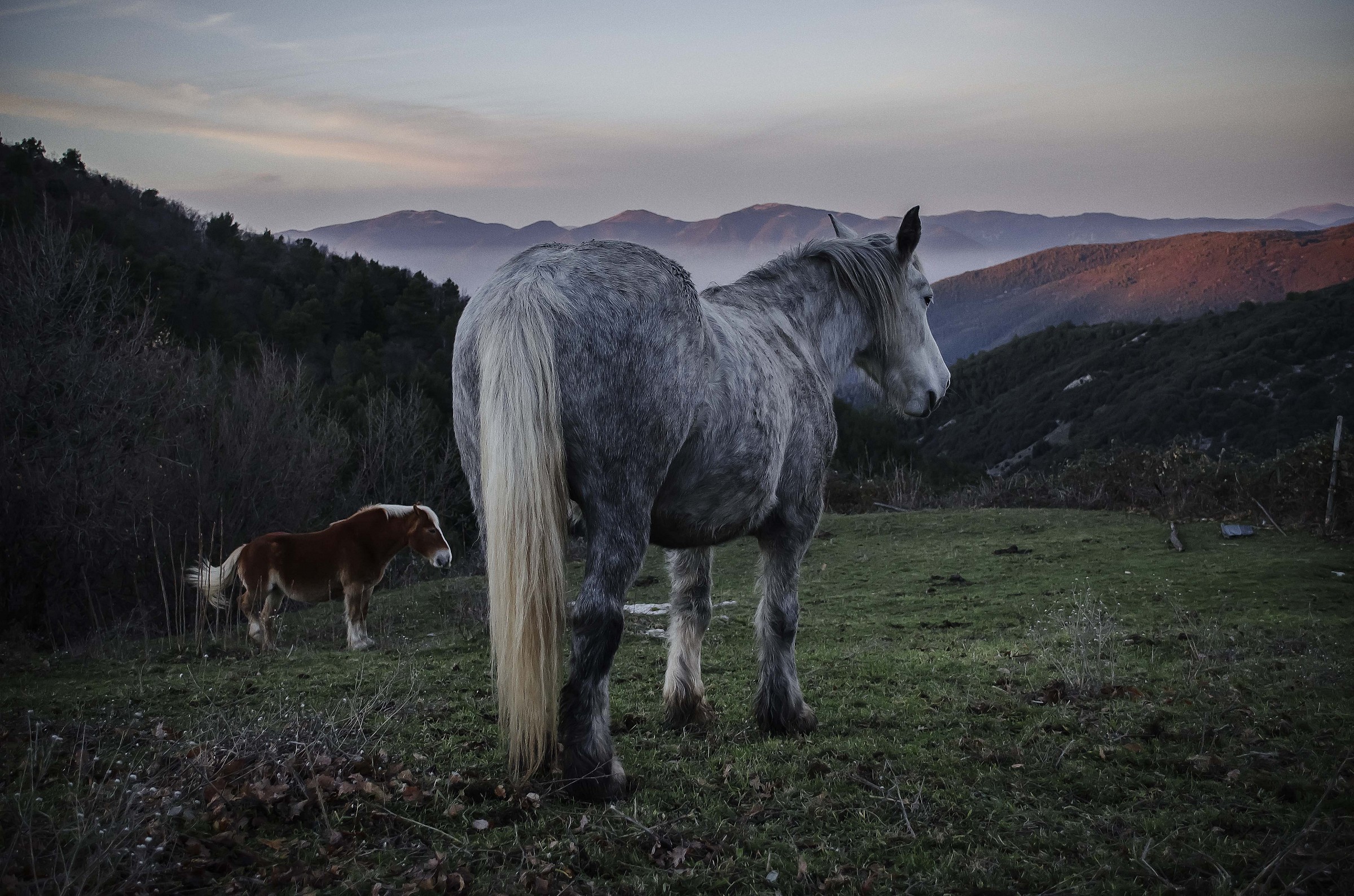 How statues analysis sunset
