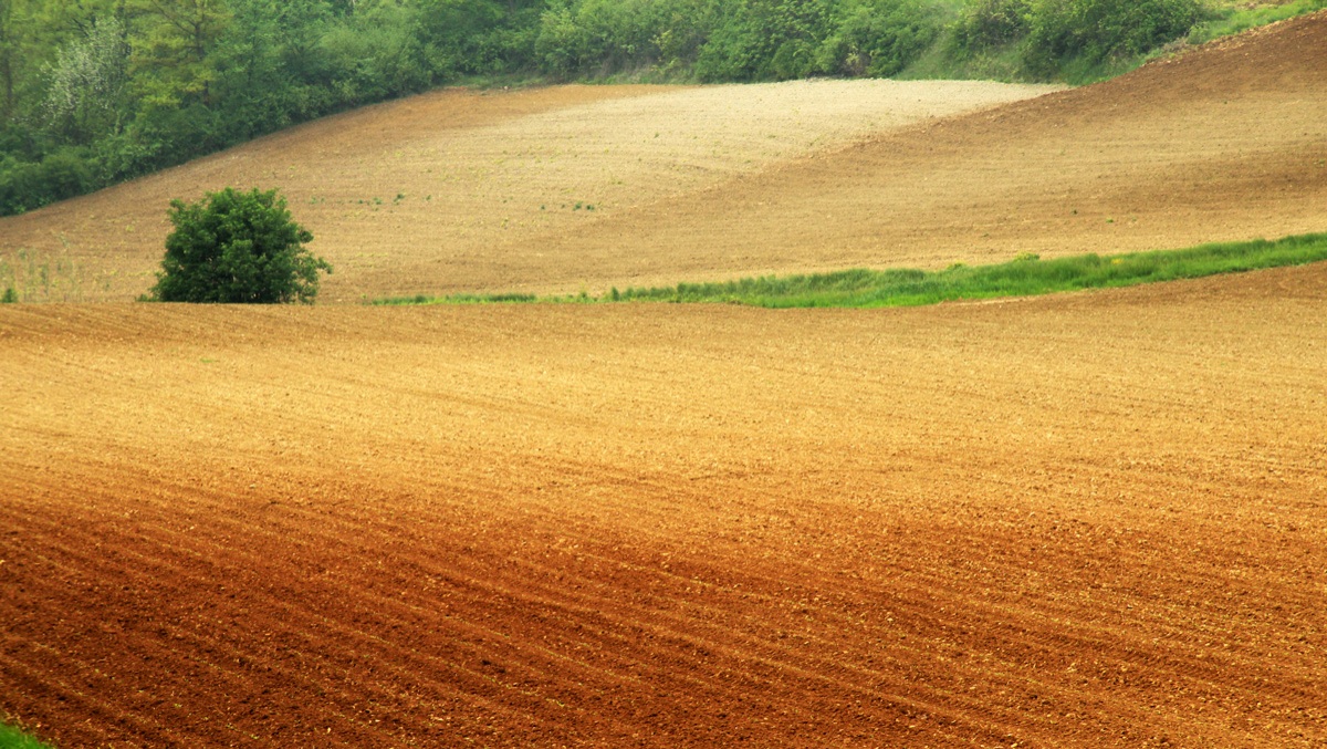 Cuccaro Monferrato hills-M.to