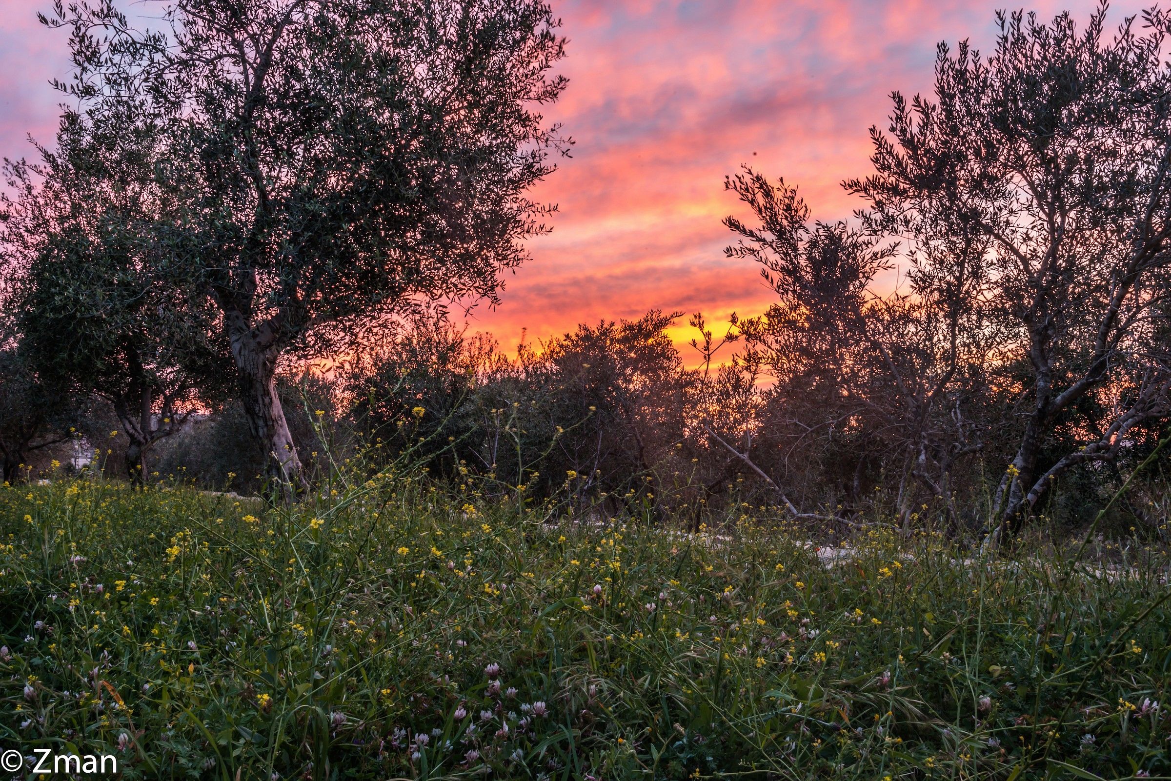 Il tramonto più bello questo inverno