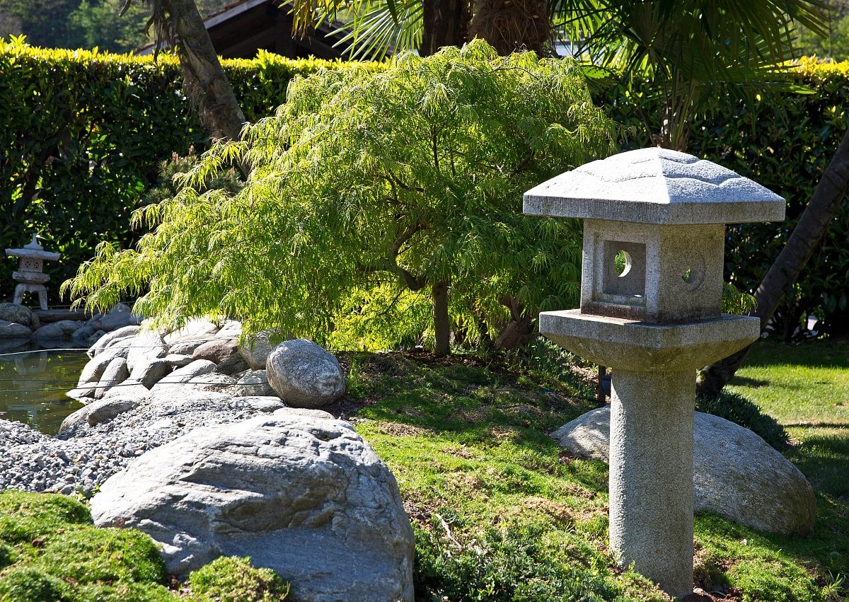 Japanese garden