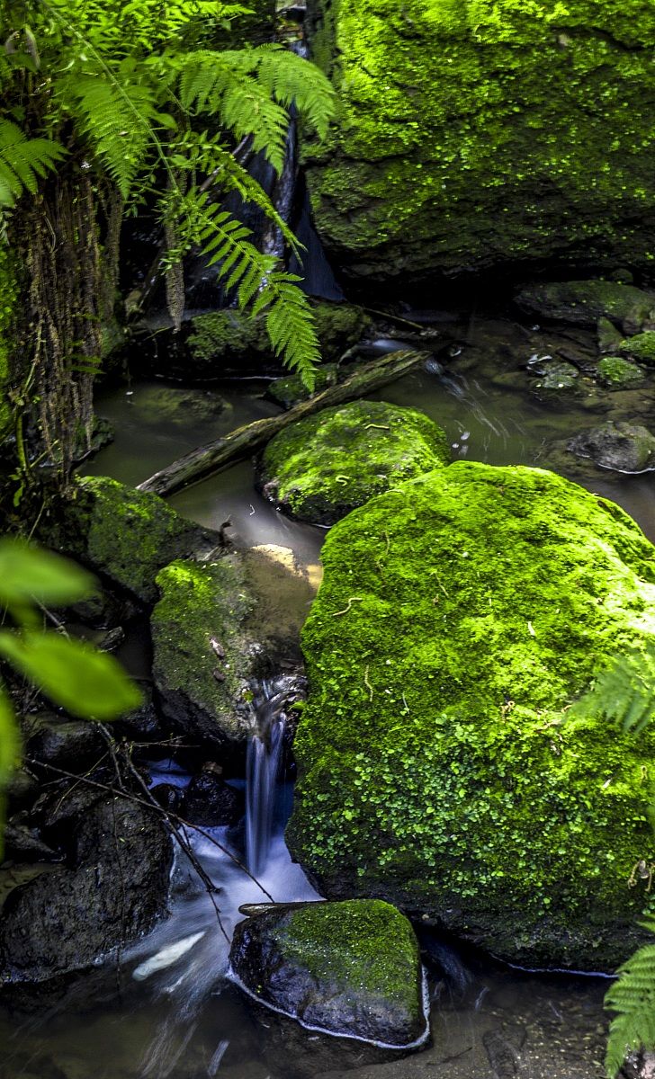Bomarzo - The Park of the Monsters