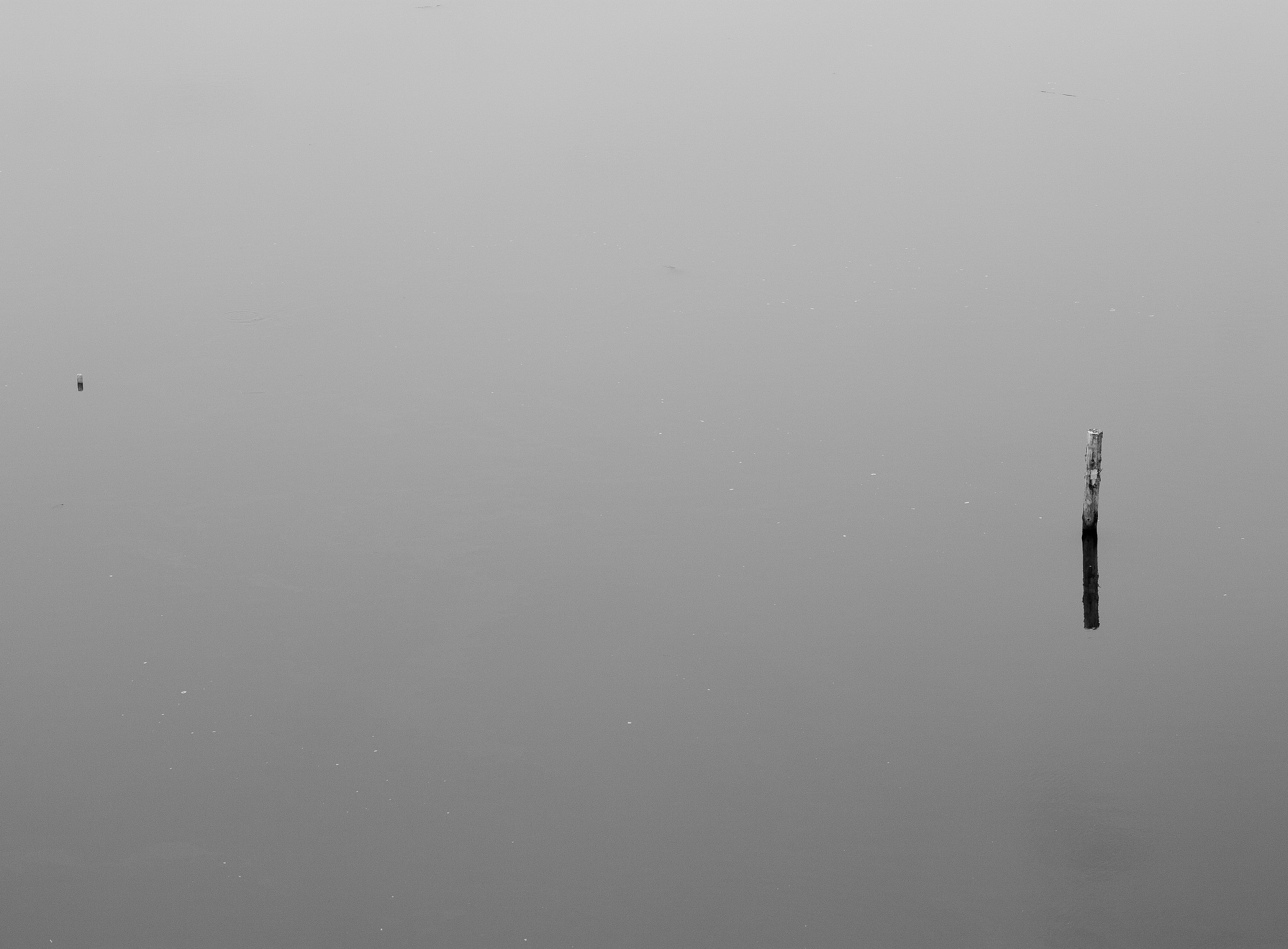 La parola è un'ala del silenzio (P. Neruda)