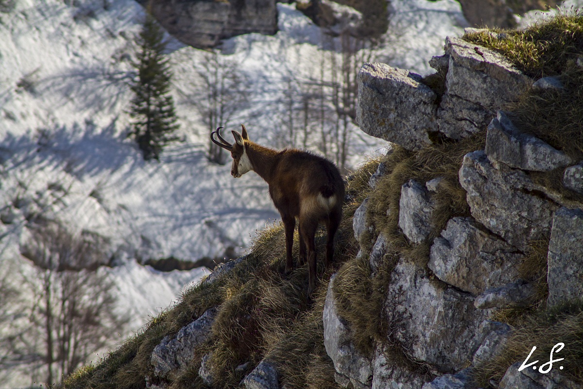 Now where am I going?