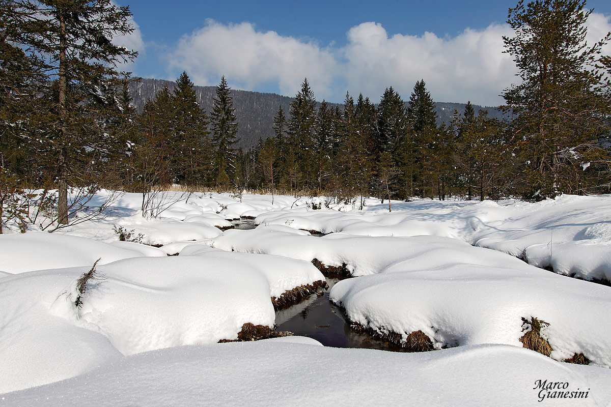 Torbiera di Scichizza