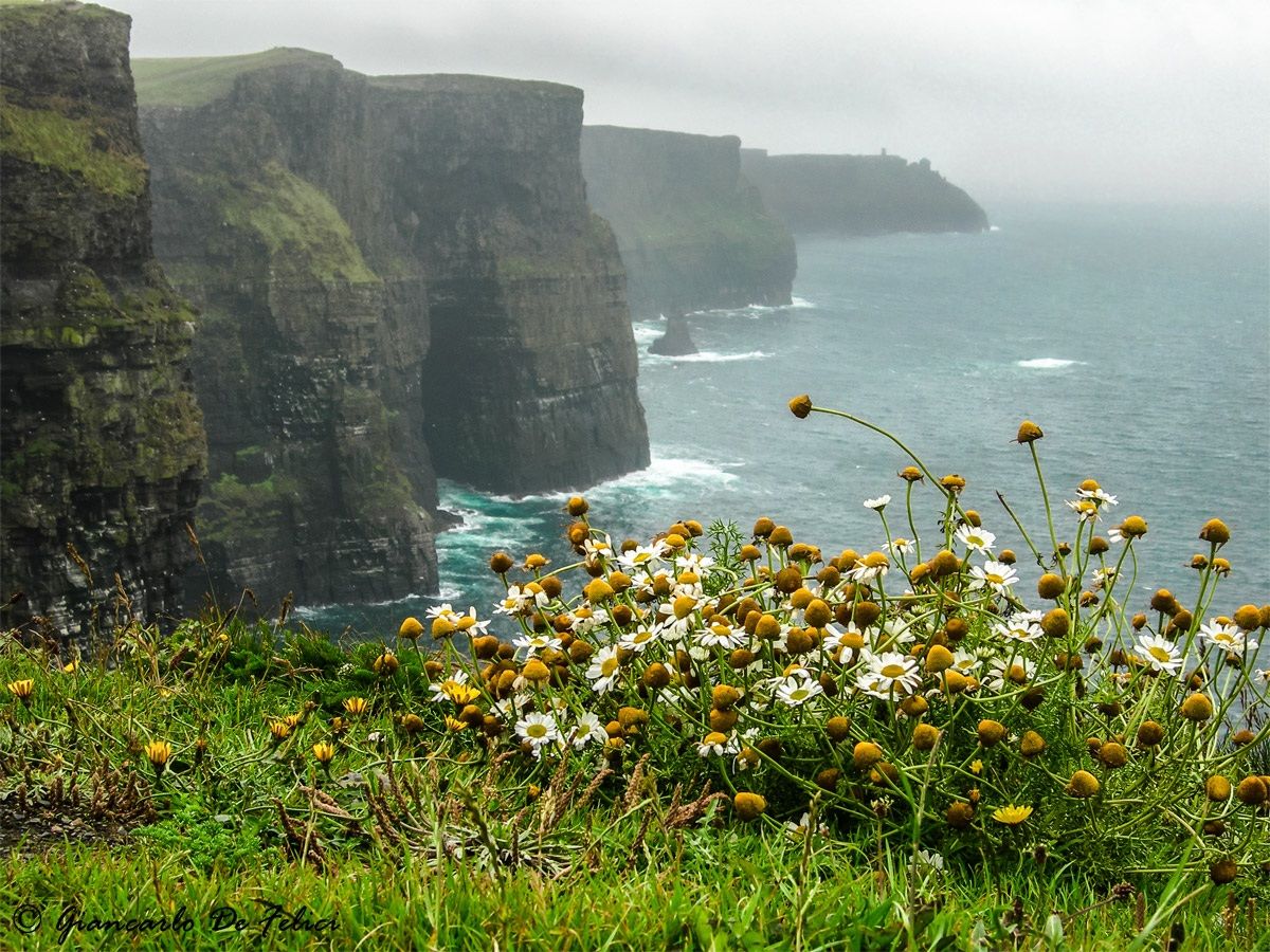 Cliffs of Mohair - Ireland