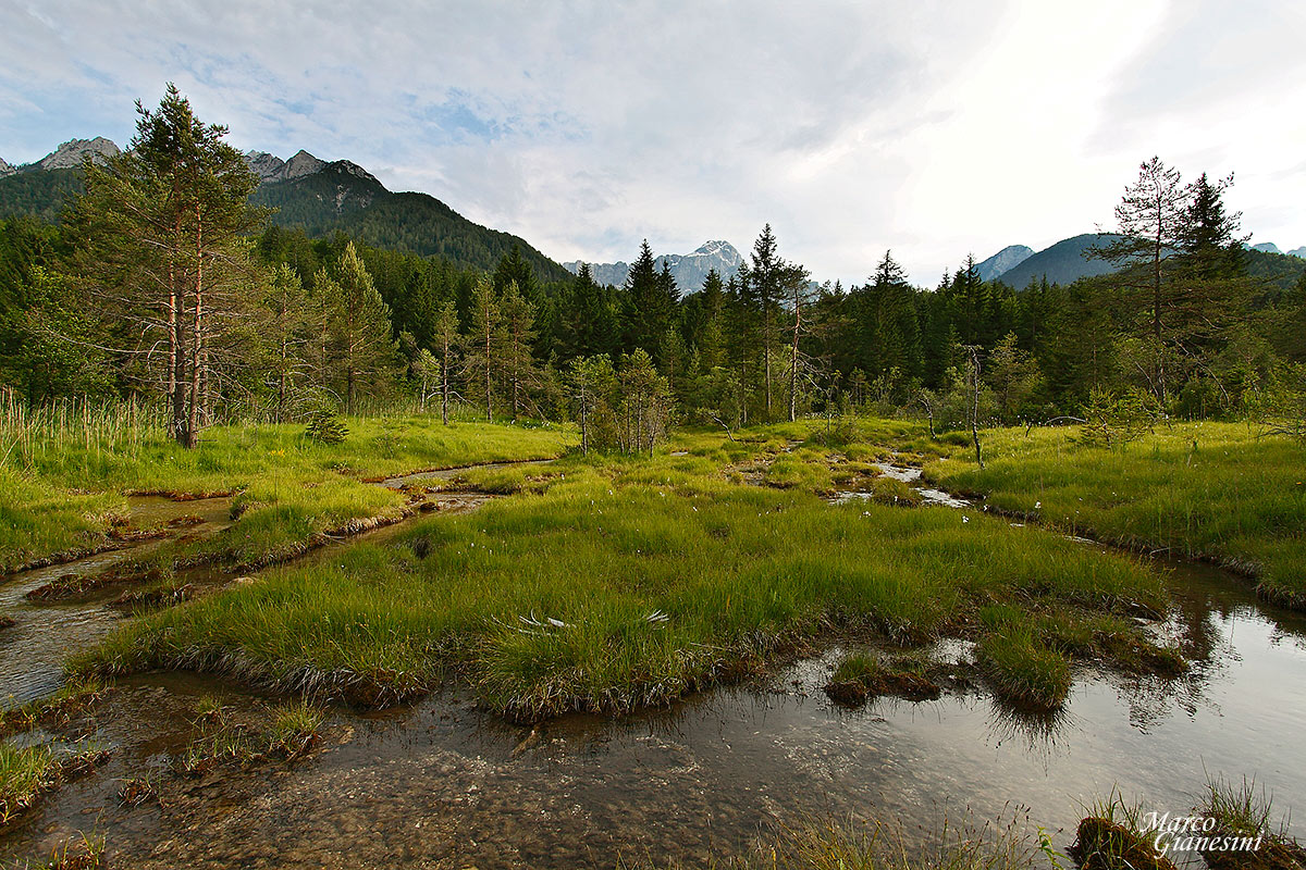 Torbiera di Scichizza