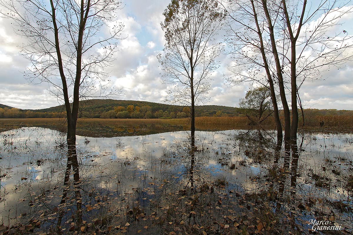 Lago di Doberdò