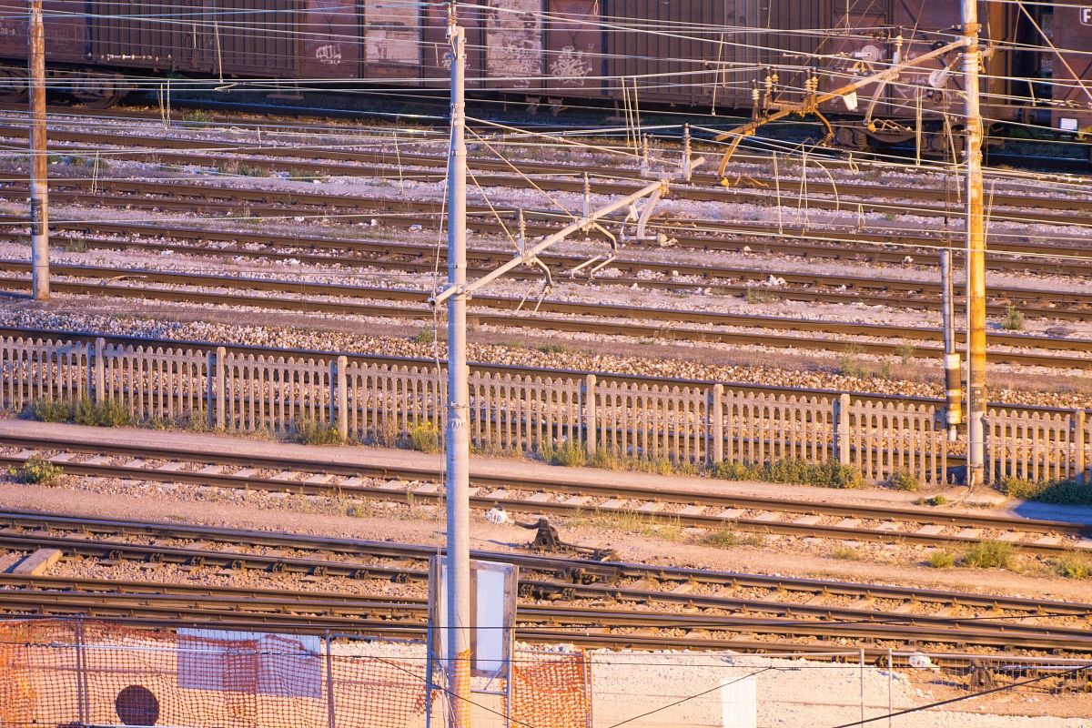 150mm + Teleconverter Kenko DGX 2X = 300mm