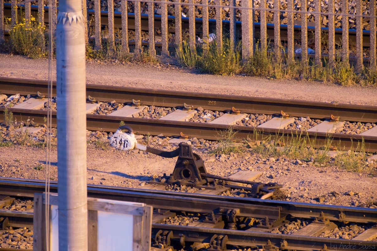 600mm + Teleconverter Kenko DGX 2X = 300mm