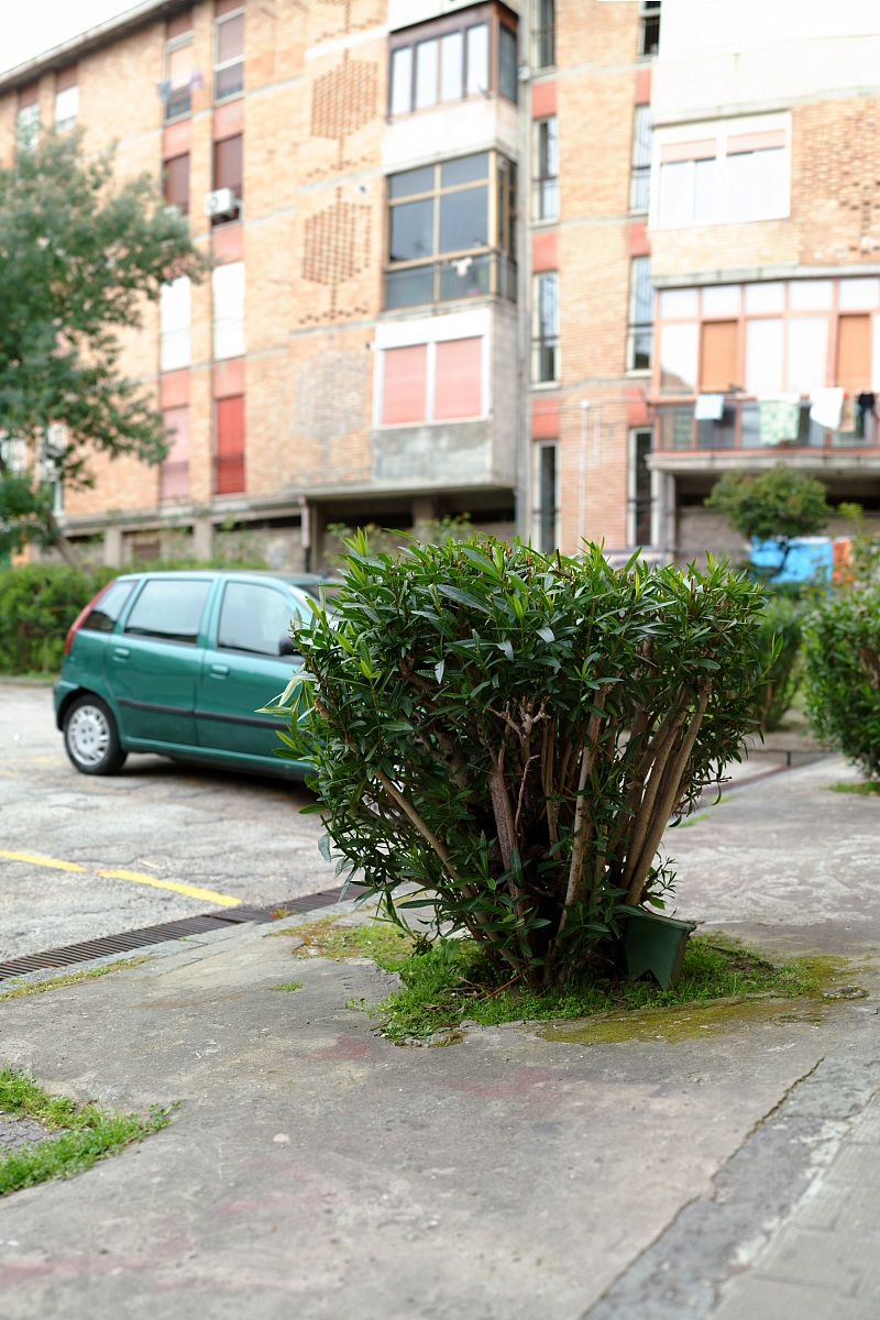 Metodo Brenizer (Bokehrama)