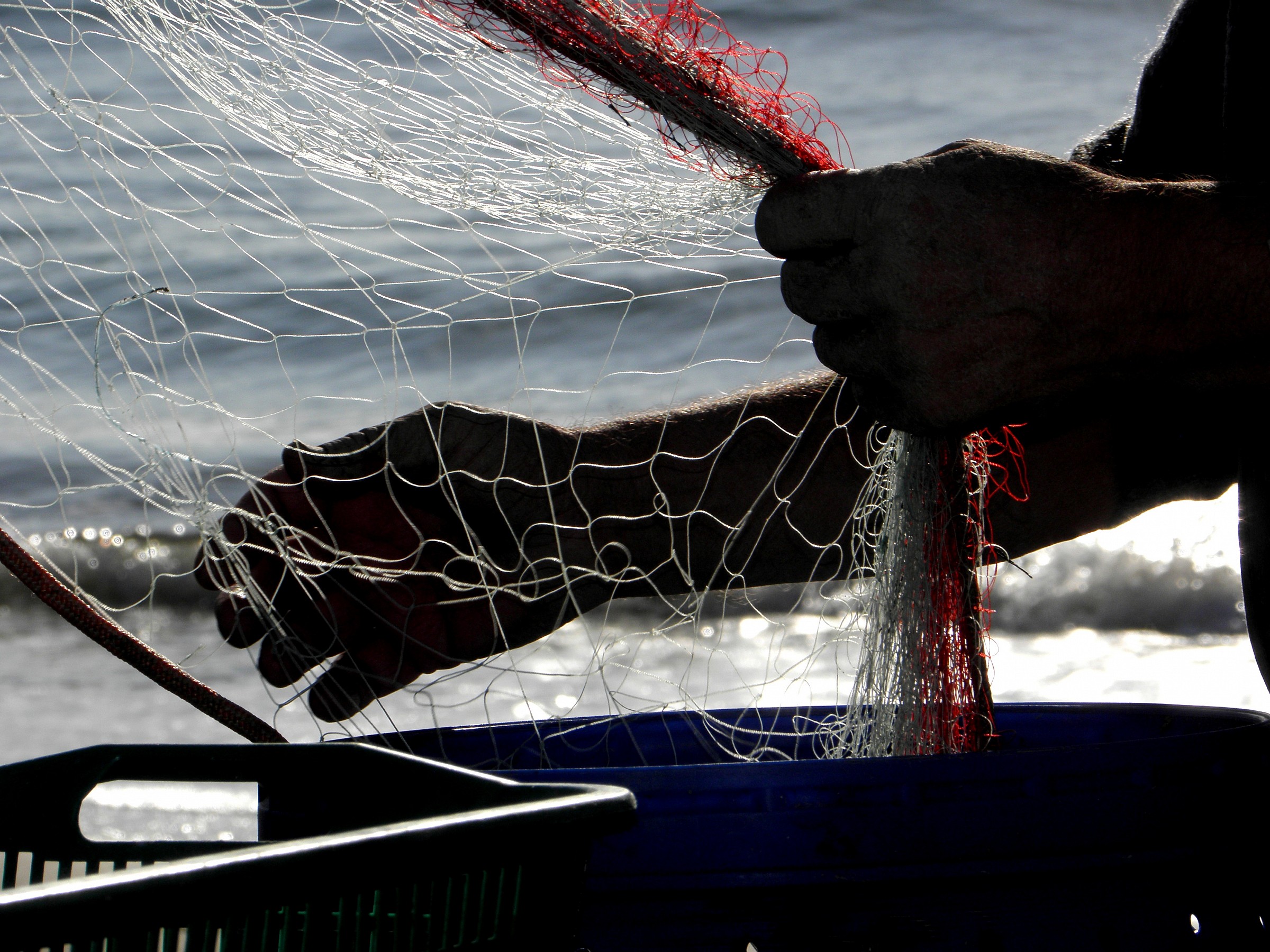 la rete e il pescatore