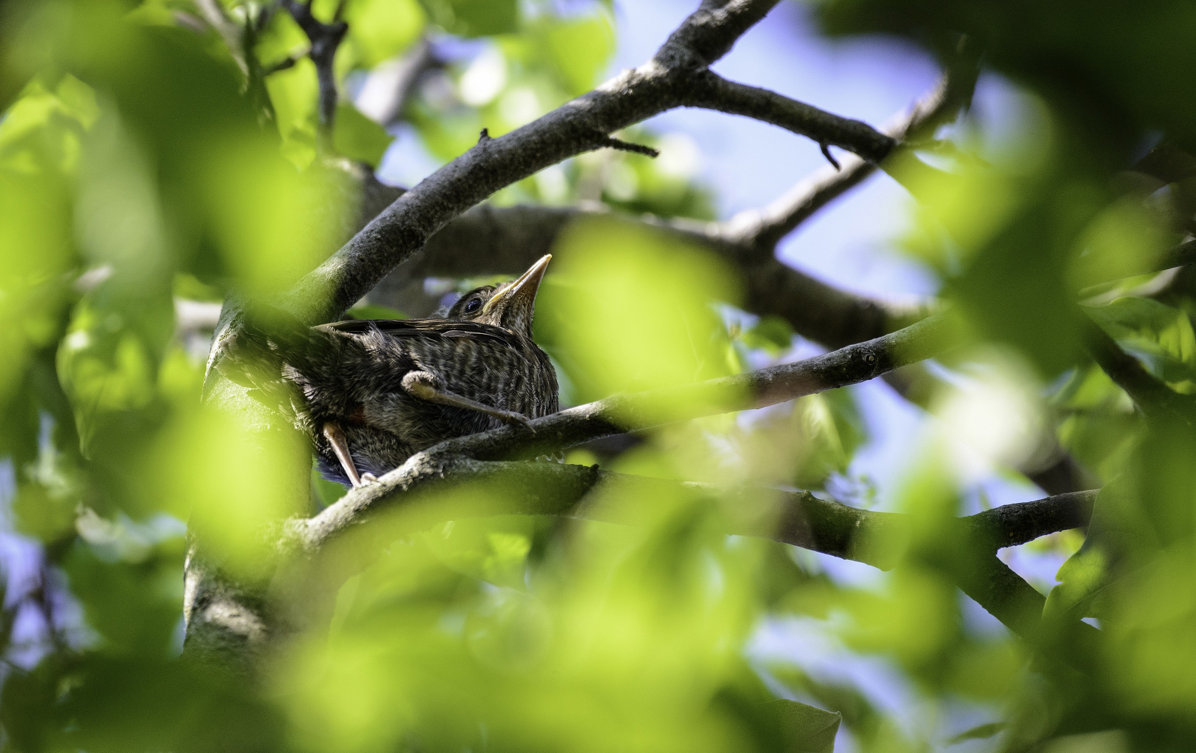Waiting to take off the first flight .....