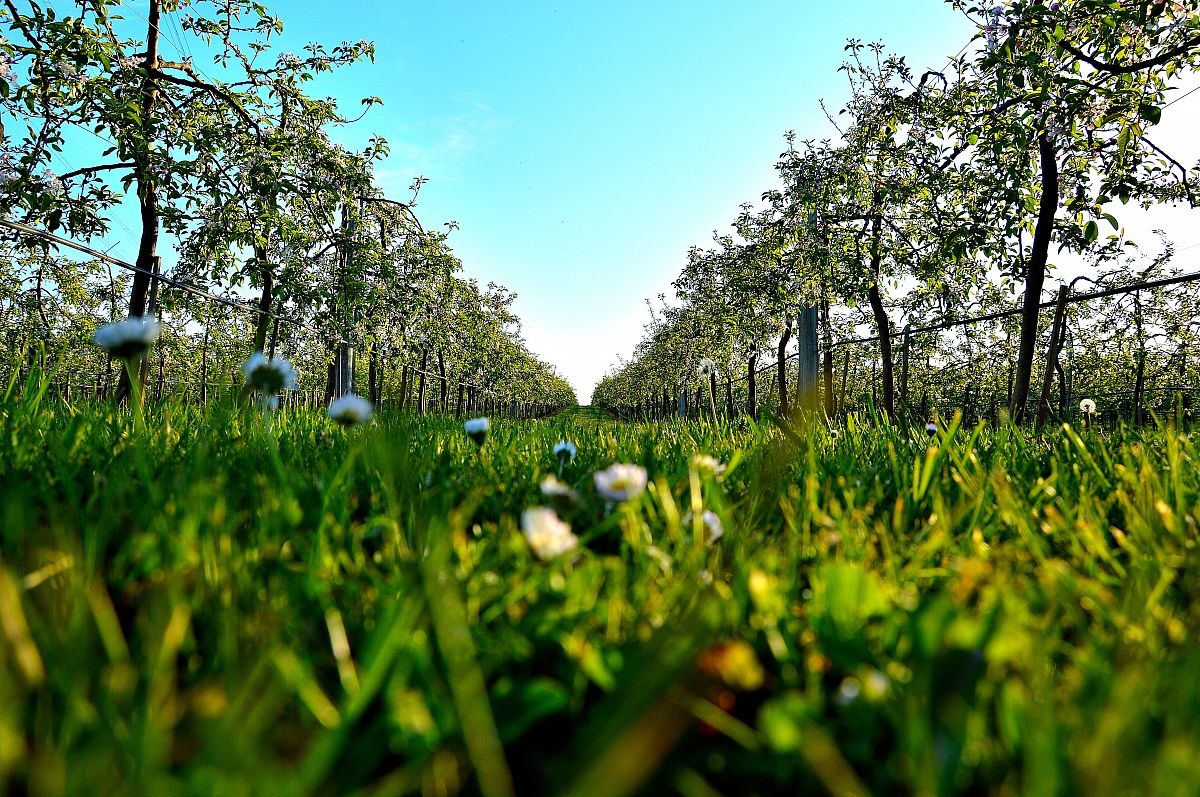 Andando verso il cielo