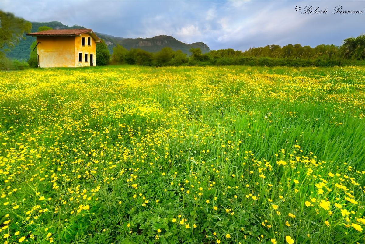 la casa nella prateria