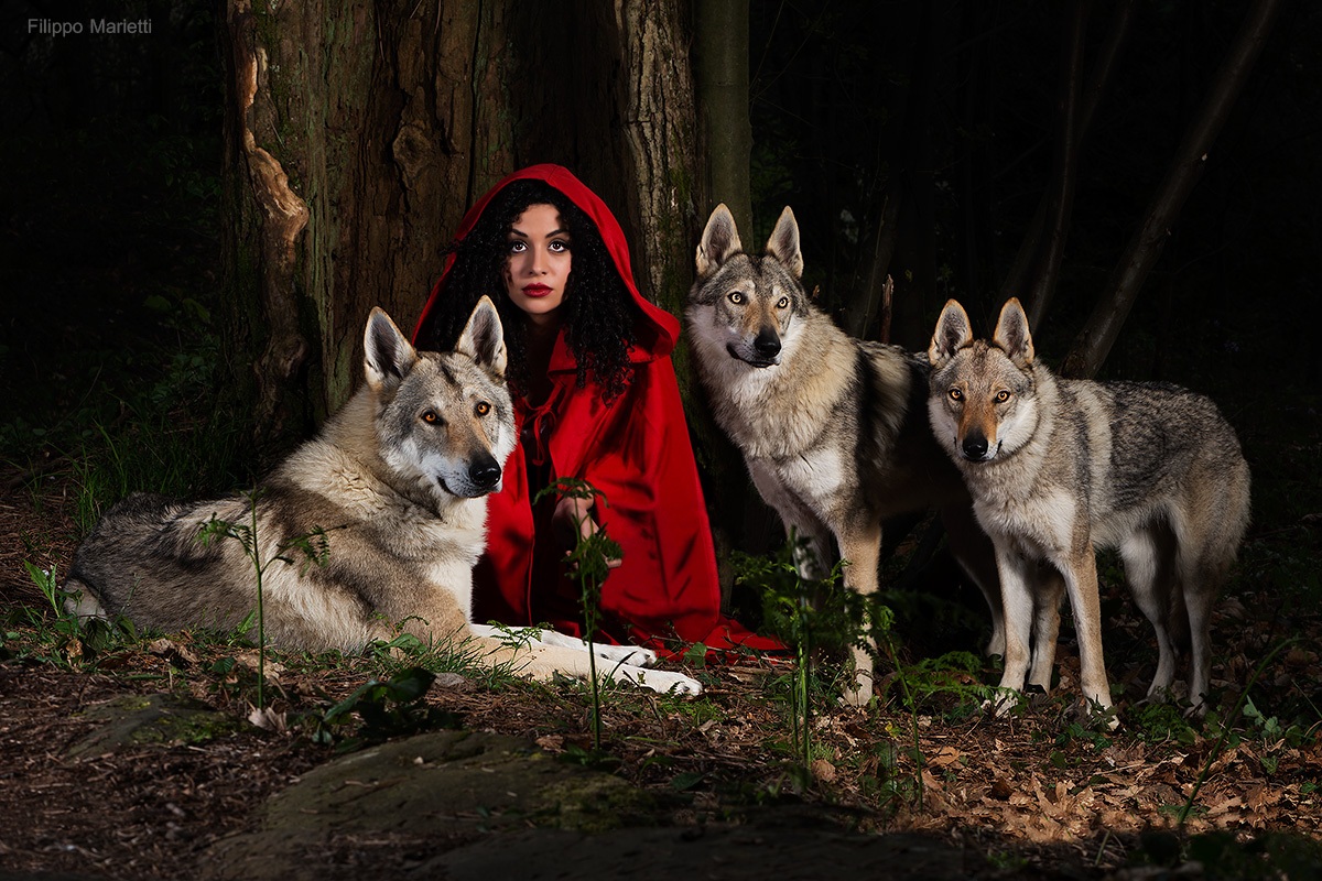 i tre lupi!