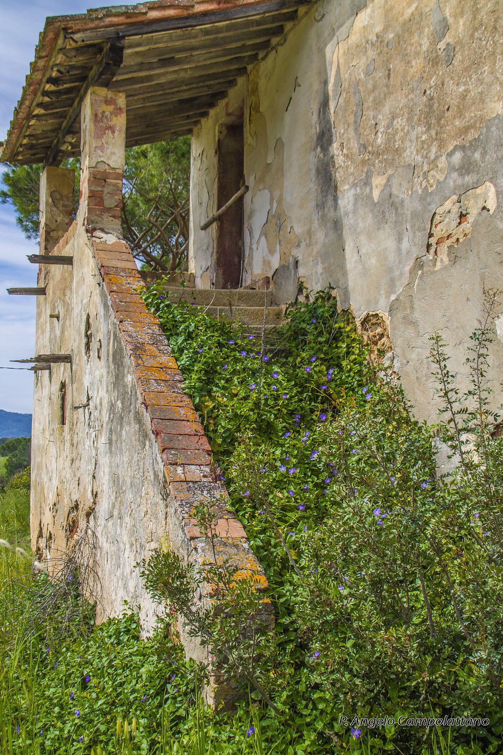 flowers on the stairs