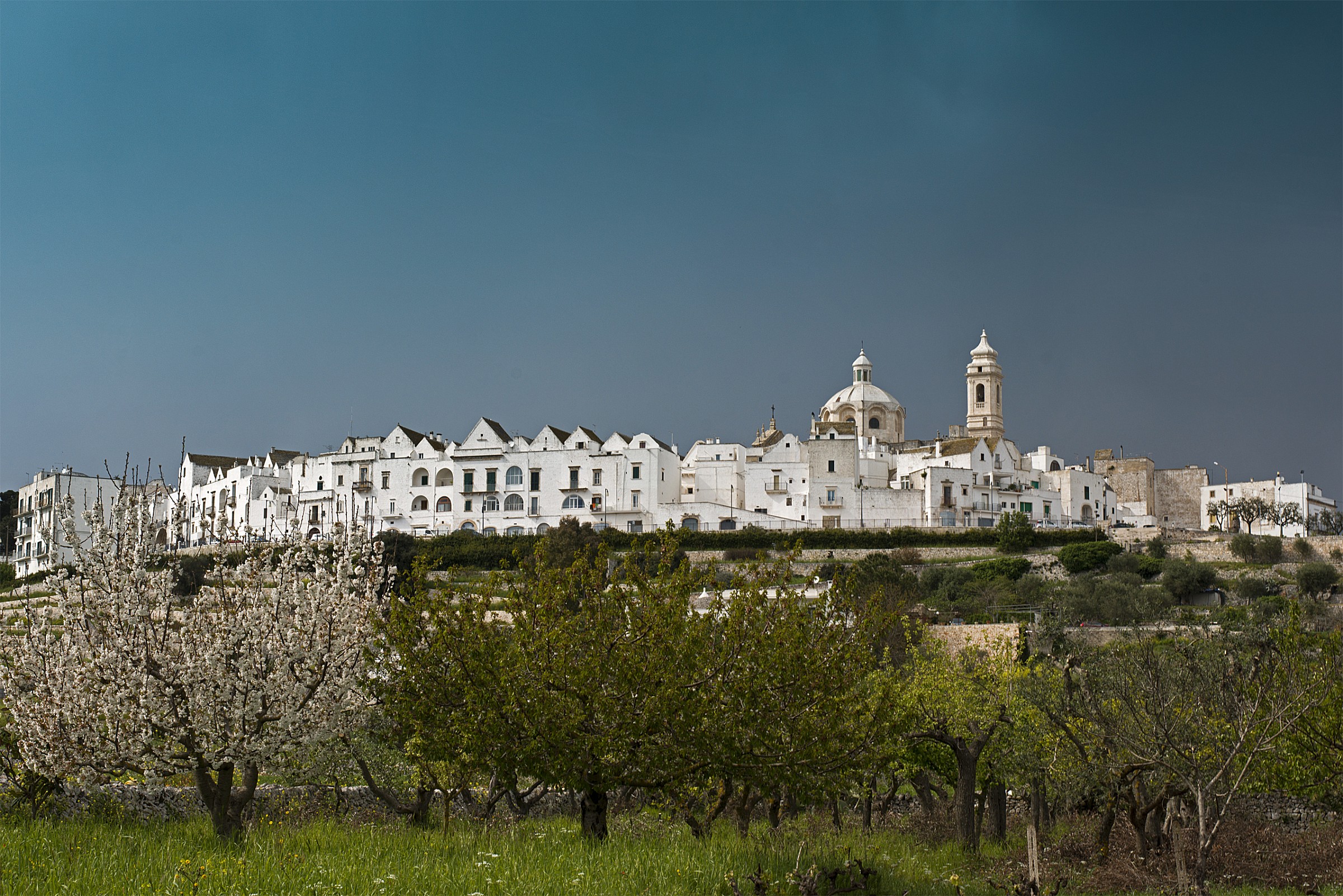 Panorama di Locorotondo         Paesaggio