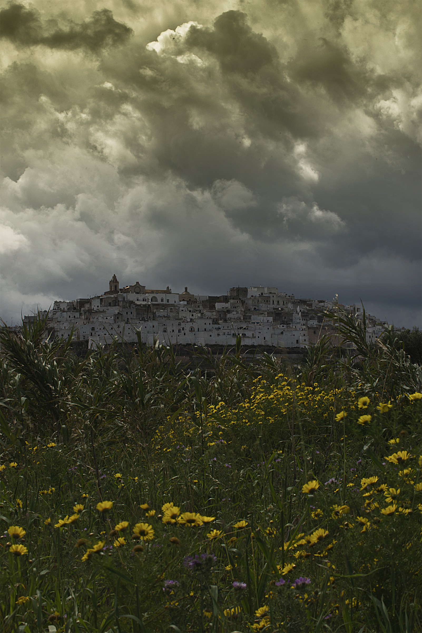 Ostuni Landscape