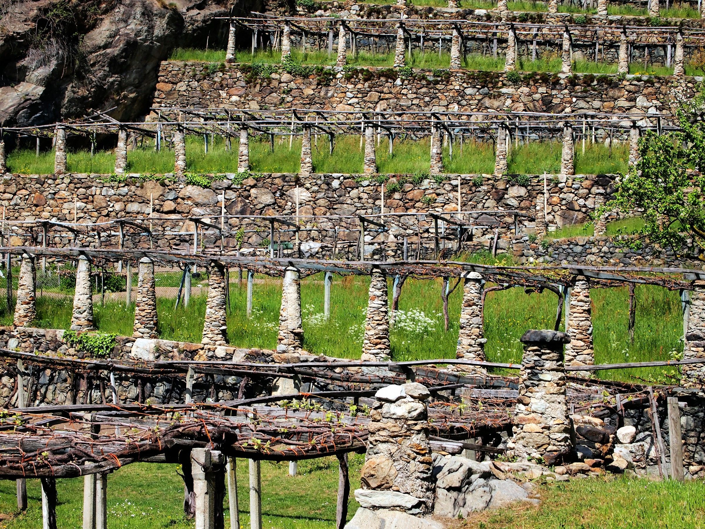 le terrazze della val d'aosta