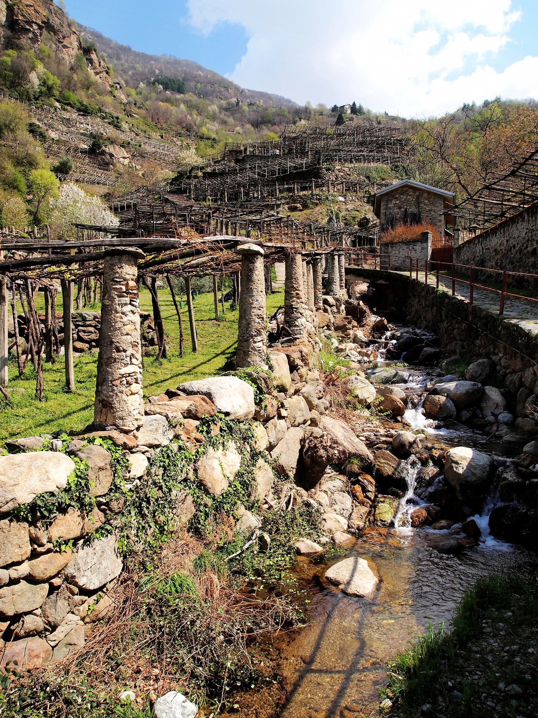 the terraces measuring the Val d'Aosta 4