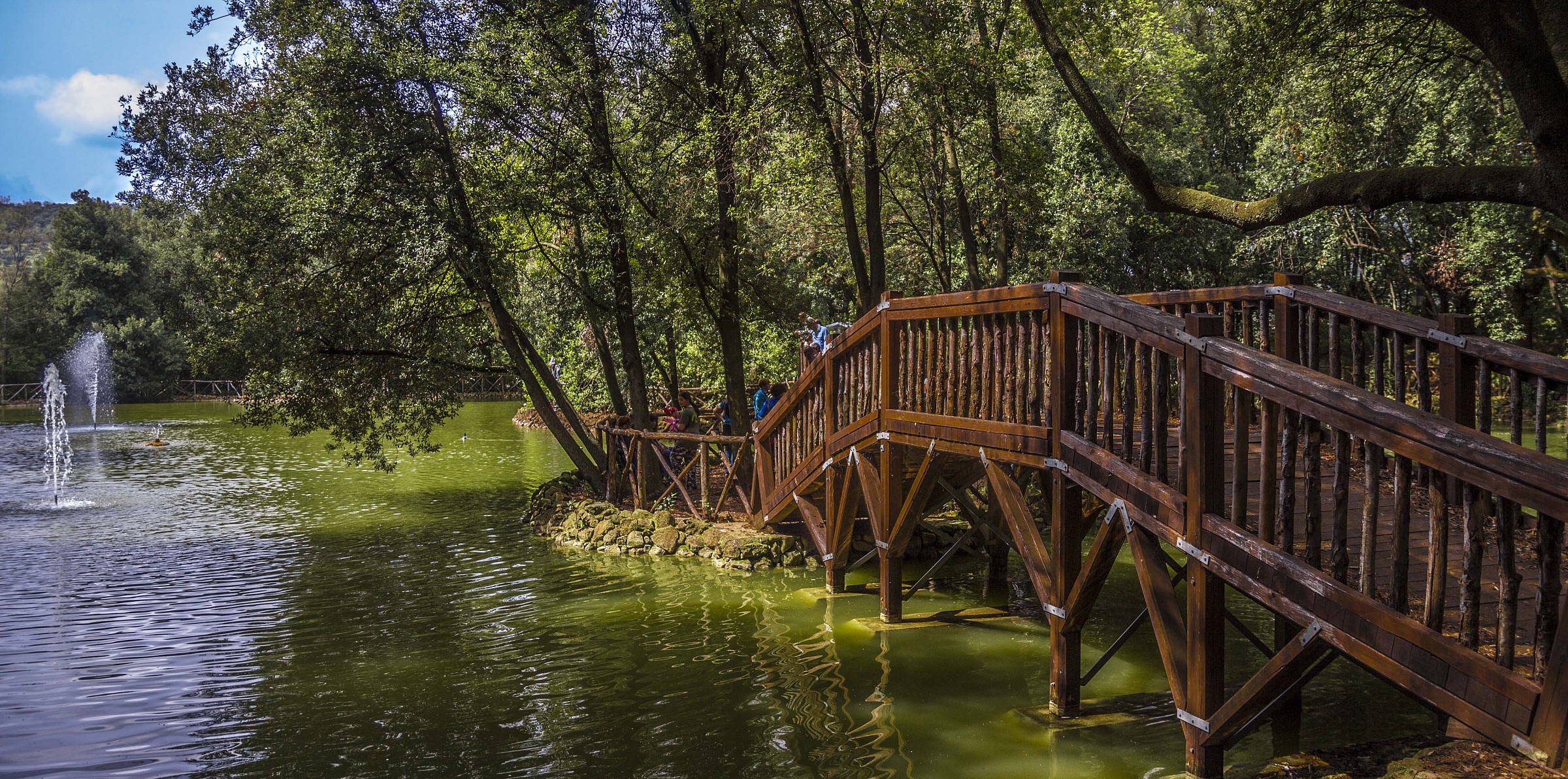 St. Gregory by Bailer